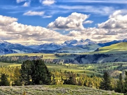 NY13A-13707 scenics 3