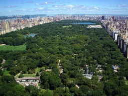 NY6-14138 scenics 5