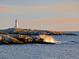 TO9-6317 scenics 3