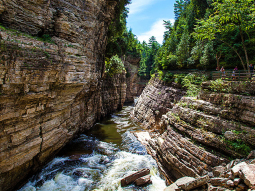 NY7-9038 scenics 1