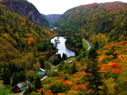 TO5-3690 scenics 1