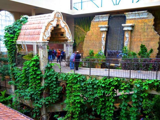 Bird Kingdom Admission Tickets