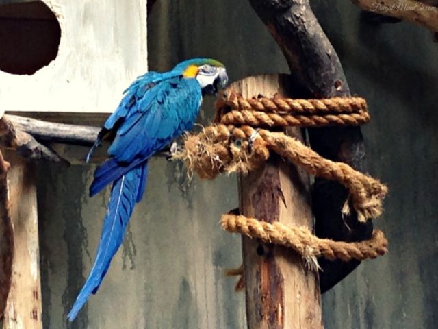 NI-T-12135 gallery 2