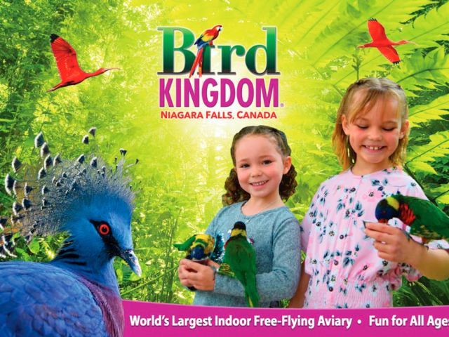 NI-T-12135 gallery 3