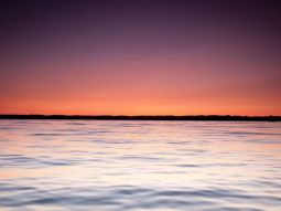 NY3-13651 scenics 3