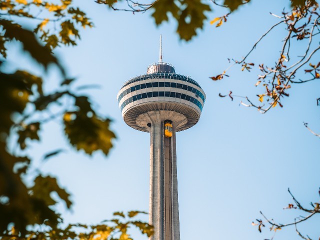 NF-T-11742 gallery 1